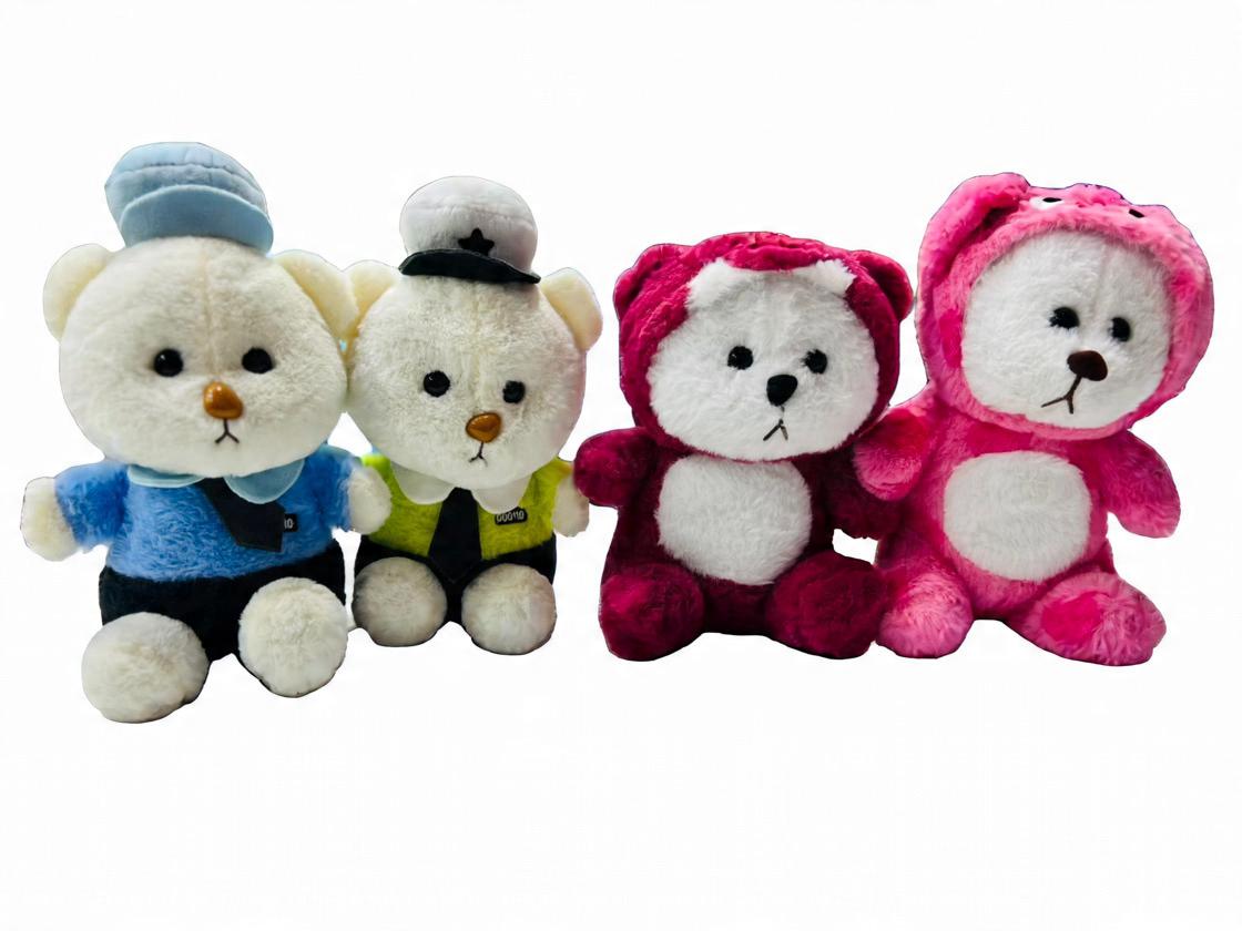 Hoodie Teddy