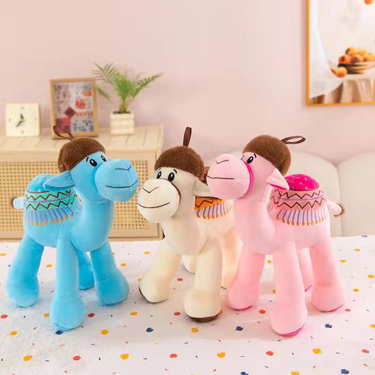 Camels Stuff