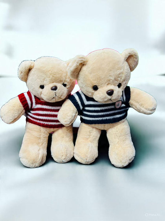 Teddy with Shirt
