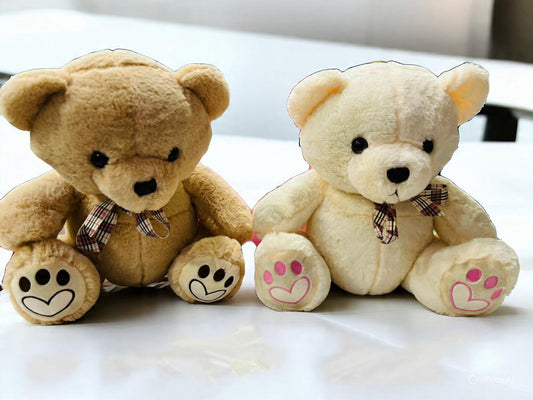 Teddy